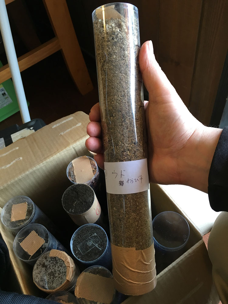 Pointacst-Iitate-1000px011