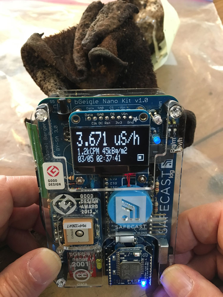 Pointacst-Iitate-1000px012