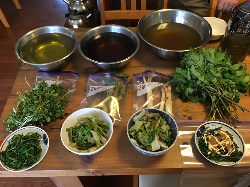 Pointacst-Iitate-1000px017