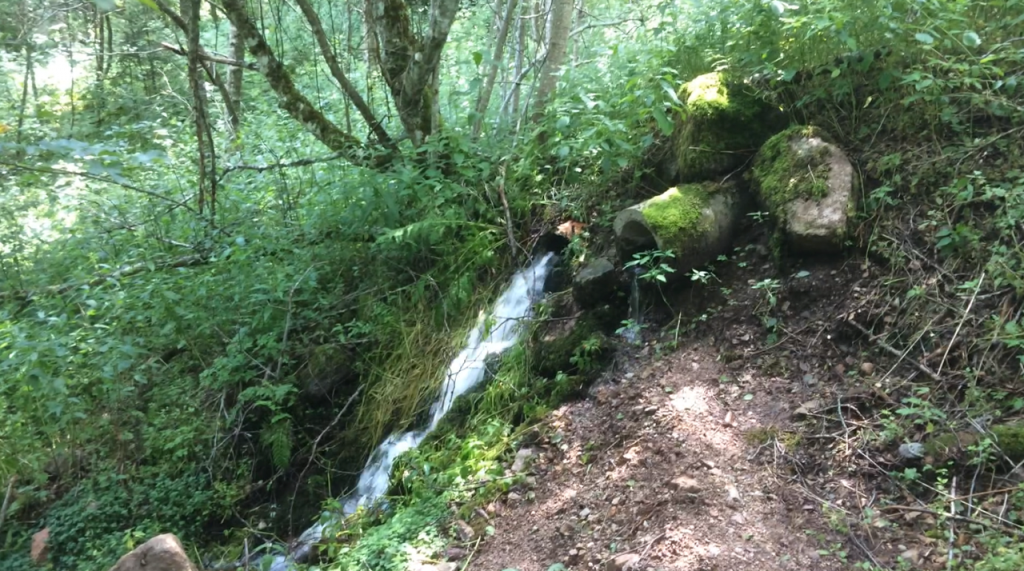 Remains of the Krunkelbach mining pit.