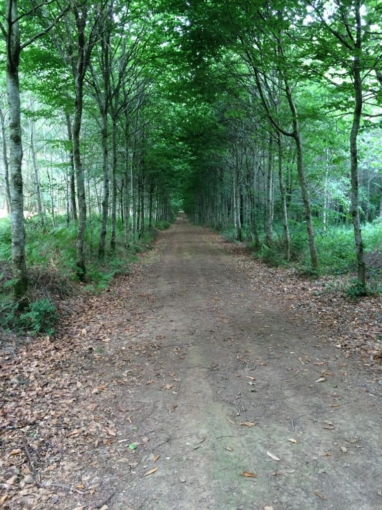 The landscape at Le Hinguer